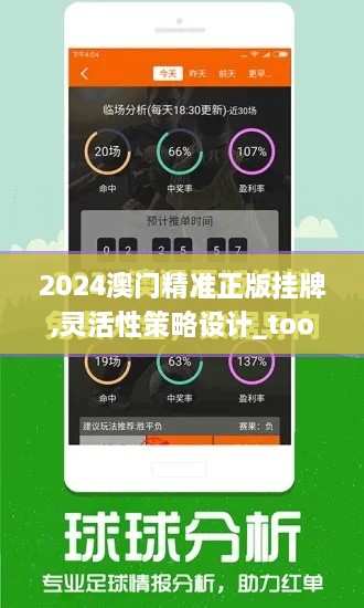 2024澳门精准正版挂牌,灵活性策略设计_tool6.892