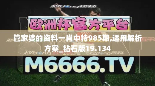 管家婆的资料一肖中特985期,适用解析方案_钻石版19.134