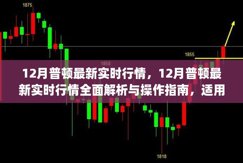 12月普顿实时行情全面解析与操作指南，从初学者到进阶用户的必备指南