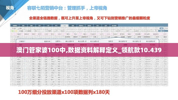 澳门管家婆100中,数据资料解释定义_领航款10.439