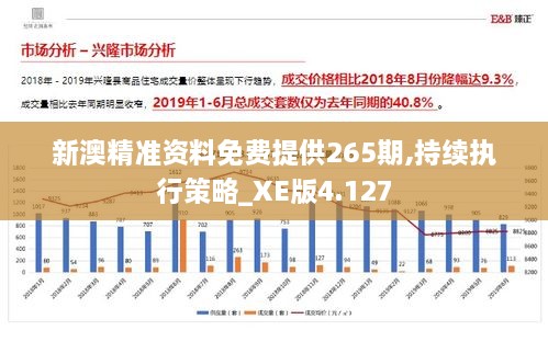 新澳精准资料免费提供265期,持续执行策略_XE版4.127