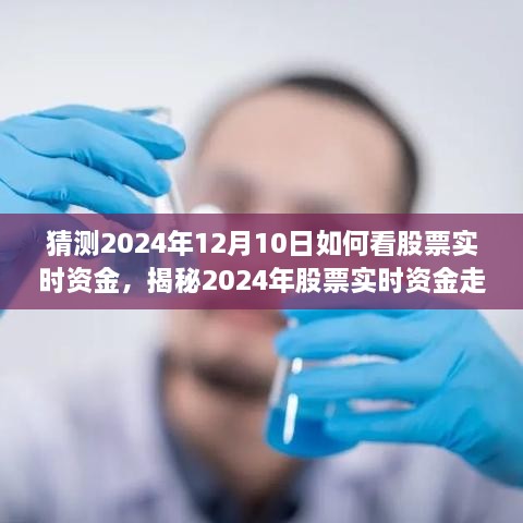 揭秘未来股市动态，掌握股票实时资金走向与趋势预测（2024年股票实时资金分析）