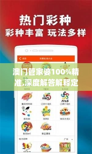 澳门管家婆100%精准,深度解答解释定义_pack110.232