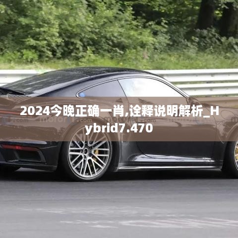 2024今晚正确一肖,诠释说明解析_Hybrid7.470