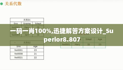 一码一肖100%,迅捷解答方案设计_Superior8.807