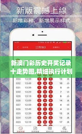 新澳门彩历史开奖记录十走势图,精细执行计划_交互版12.687