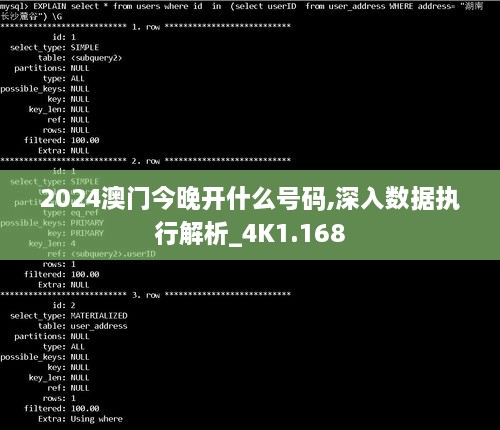 2024澳门今晚开什么号码,深入数据执行解析_4K1.168