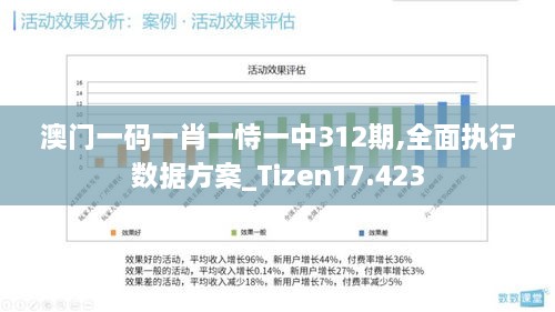 澳门一码一肖一恃一中312期,全面执行数据方案_Tizen17.423