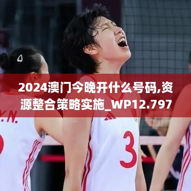 2024澳门今晚开什么号码,资源整合策略实施_WP12.797