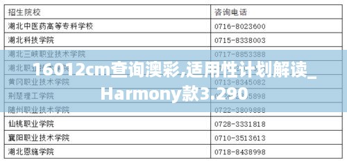 16012cm查询澳彩,适用性计划解读_Harmony款3.290