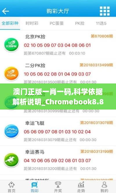 澳门正版一肖一码,科学依据解析说明_Chromebook8.874