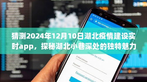湖北疫情建设实时app探秘，小巷深处的魅力与特色小店的独特风采（预测至2024年12月10日）