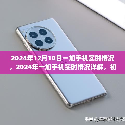 2024年一加手机实时情况详解，初学者与进阶用户指南