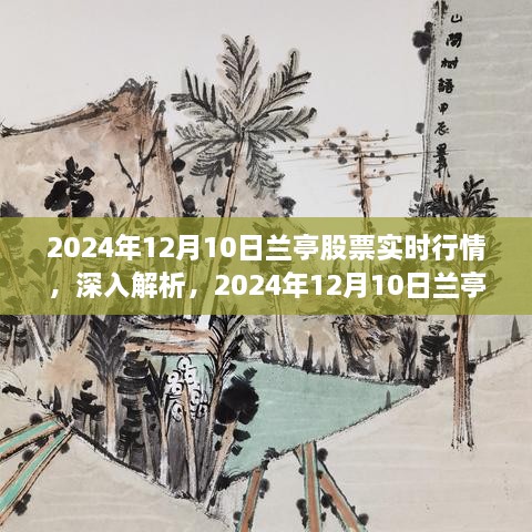 2024年12月11日 第41页