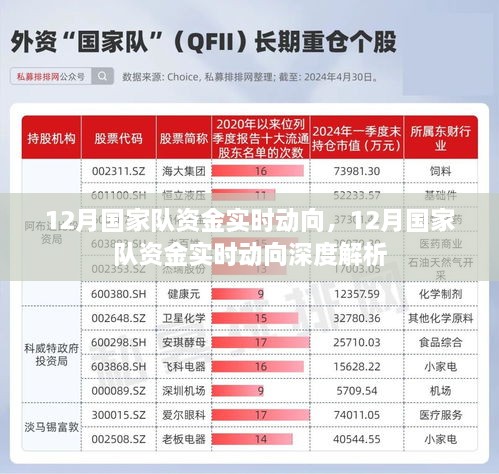 12月国家队资金实时动向深度解析报告