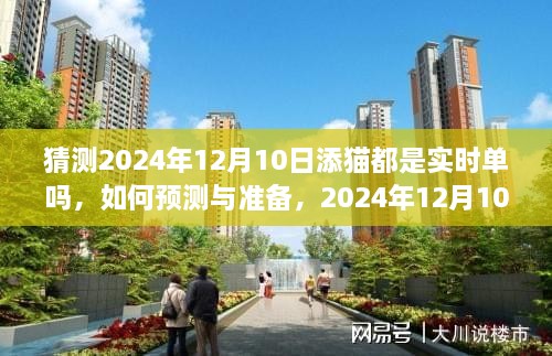 2024年12月10日猫咪实时单活动指南，预测与准备