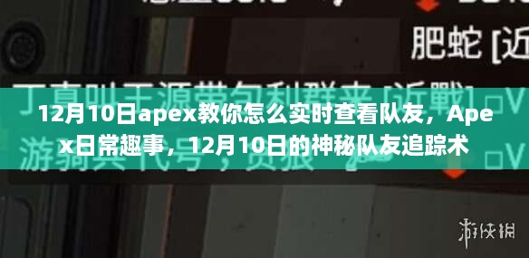 揭秘！Apex神秘队友追踪术，实时查看队友状态的小技巧