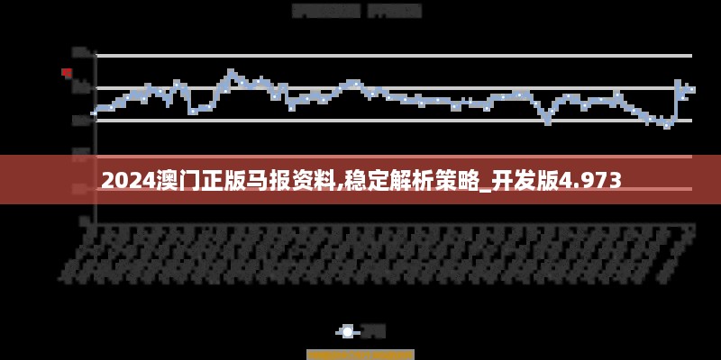 2024澳门正版马报资料,稳定解析策略_开发版4.973