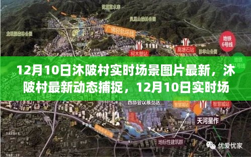 沐陂村最新动态，12月10日实时场景图片获取指南及最新动态捕捉