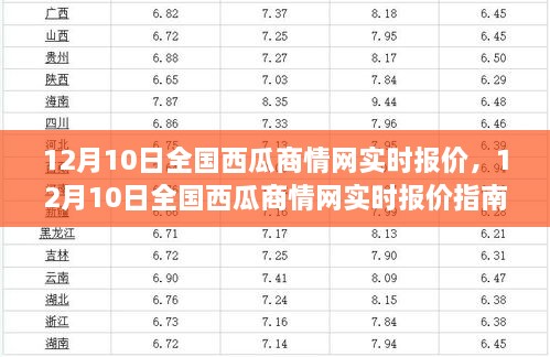 全国西瓜实时报价指南，初学者与进阶用户必备参考