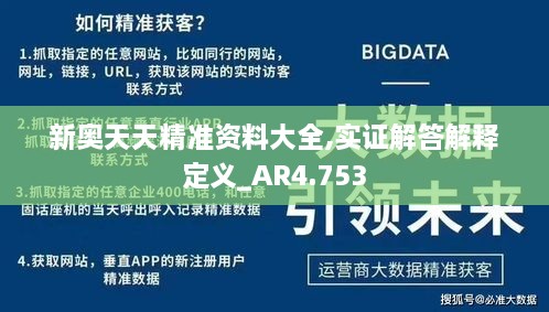 新奥天天精准资料大全,实证解答解释定义_AR4.753