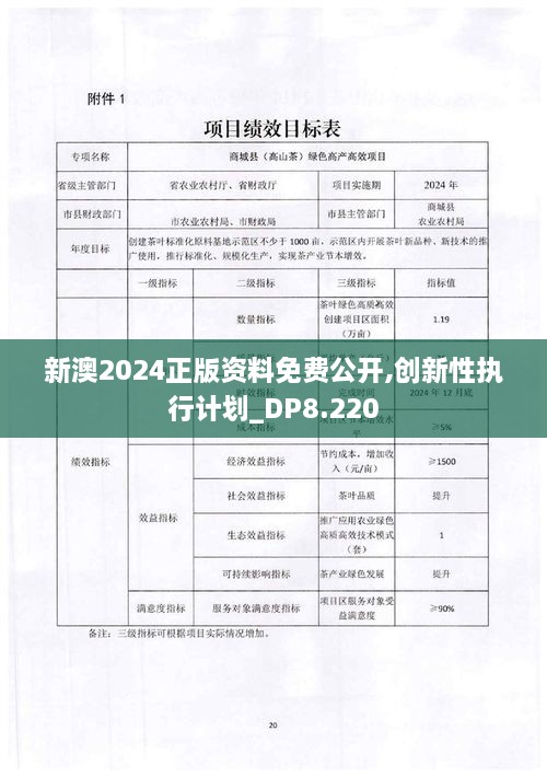 新澳2024正版资料免费公开,创新性执行计划_DP8.220