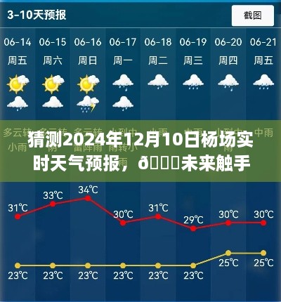 🌟明日杨场天气预报，触摸未来的气象预测，2024年12月10日杨场实时天气详解