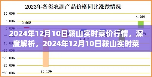 2024年12月10日鞍山实时菜价行情深度解析与全面评测