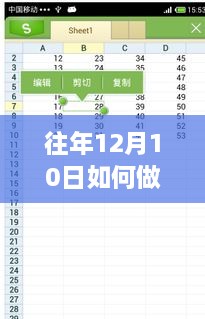 往年12月10日实时编辑表格制作指南与操作教程