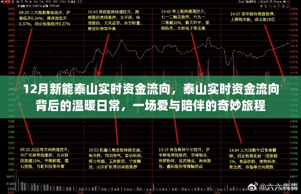 12月新能泰山实时资金流向，爱与陪伴的温暖旅程