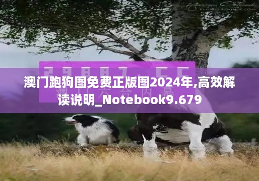 澳门跑狗图免费正版图2024年,高效解读说明_Notebook9.679