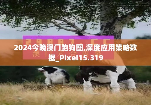 2024今晚澳门跑狗图,深度应用策略数据_Pixel15.319