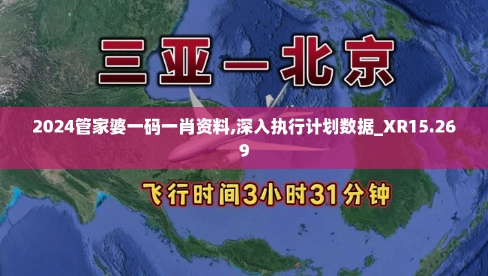 2024管家婆一码一肖资料,深入执行计划数据_XR15.269