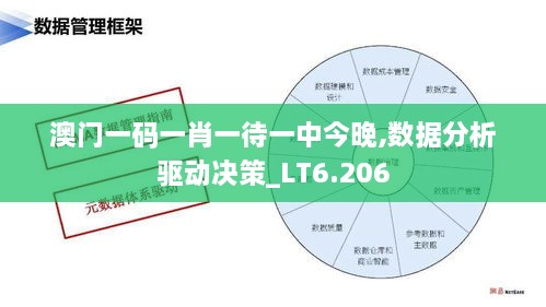 澳门一码一肖一待一中今晚,数据分析驱动决策_LT6.206