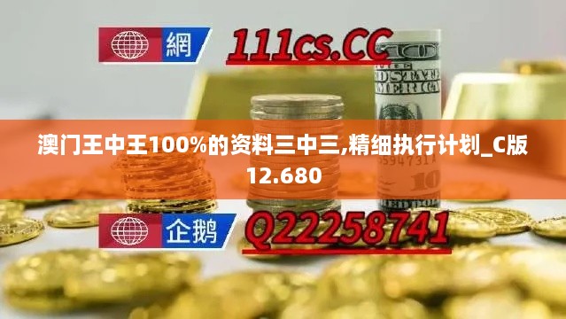 澳门王中王100%的资料三中三,精细执行计划_C版12.680