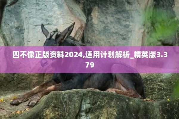 四不像正版资料2024,适用计划解析_精英版3.379