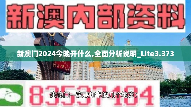 新澳门2024今晚开什么,全面分析说明_Lite3.373