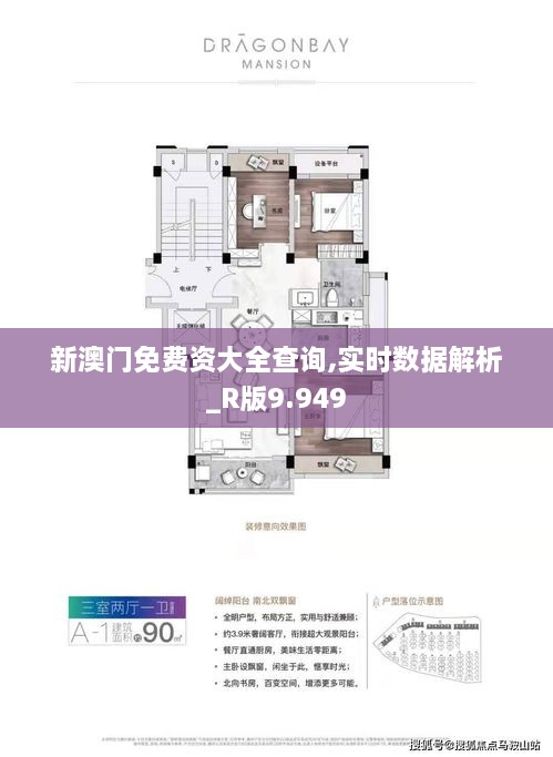 新澳门免费资大全查询,实时数据解析_R版9.949