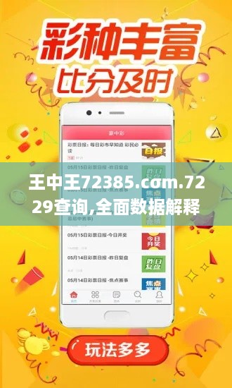 王中王72385.cσm.7229查询,全面数据解释定义_纪念版2.582