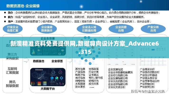 新澳精准资料免费提供网,数据导向设计方案_Advance6.315