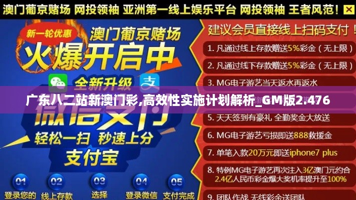 广东八二站新澳门彩,高效性实施计划解析_GM版2.476