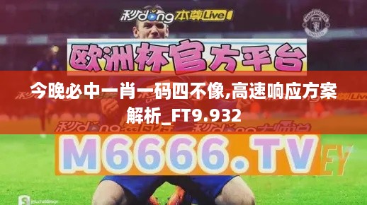 今晚必中一肖一码四不像,高速响应方案解析_FT9.932