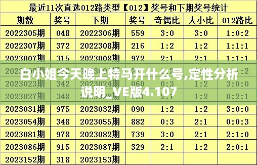 白小姐今天晚上特马开什么号,定性分析说明_VE版4.107