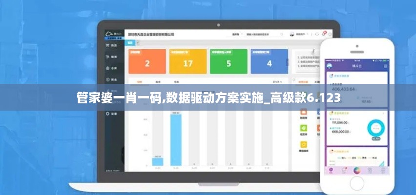 管家婆一肖一码,数据驱动方案实施_高级款6.123