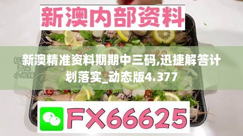 新澳精准资料期期中三码,迅捷解答计划落实_动态版4.377