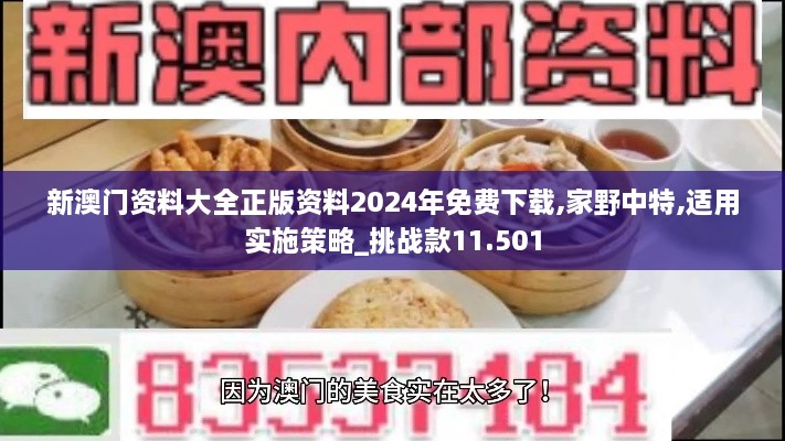 新澳门资料大全正版资料2024年免费下载,家野中特,适用实施策略_挑战款11.501