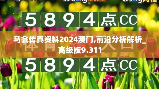 马会传真资料2024澳门,前沿分析解析_高级版9.311