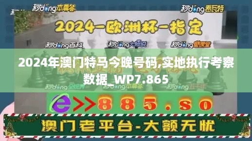 2024年澳门特马今晚号码,实地执行考察数据_WP7.865