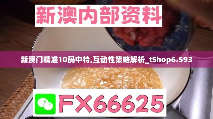 新澳门精准10码中特,互动性策略解析_tShop6.593