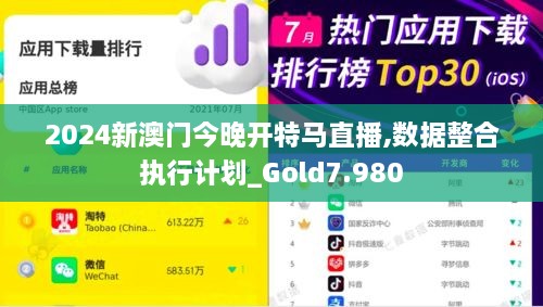 2024新澳门今晚开特马直播,数据整合执行计划_Gold7.980